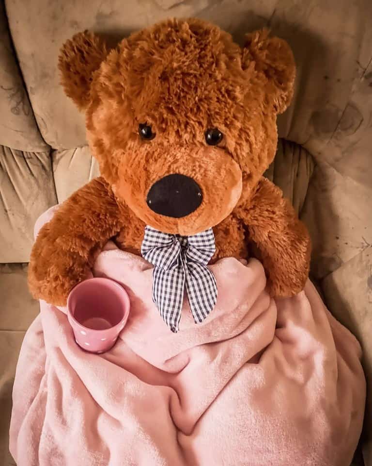 veliki-plisani-medo-100-cm-tamno-smedi